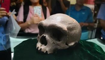 الصين: اكتشاف جمجمة أحفورية للإنسان المنتصب