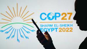«باميلا هوارد» يطلق جلسة تدريبية حول تقديم مقترح ناجح لتغطية (COP27)