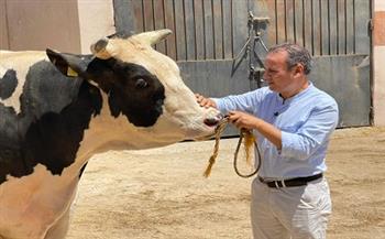 مانشيت يرصد كواليس التلقيح الصناعي للأبقار والجاموس لتحسين السلالات