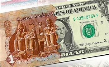 الحكومة: الجنيه المصري ثاني أفضل العملات أداء في العالم أمام الدولار (انفوجراف)