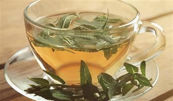 اشربه بانتظام .. الشاى الأخضر يطيل العمر بنسبة 13%