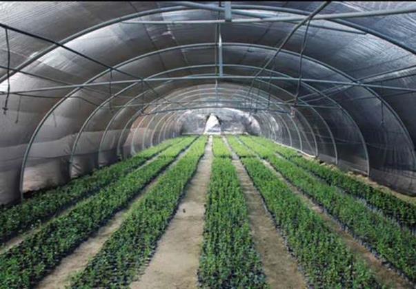 ياسر عبدالحكيم عن خطة الدولة في التوسع الزراعي: «عودة لتصحيح المسار»