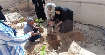 شمال سيناء: زراعة 5000 شجرة ضمن المبادرة الرئاسية