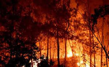 اجلاء للسكان بسبب اشتعال حرائق الغابات مجددا في ألمانيا 