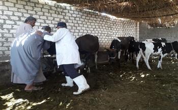 الخدمات البيطرية : ضرورة تجاوب المربين مع حملة تحصين الماشية بجميع القرى
