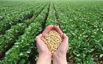 «الشناوي»: إعلان الأسعار الاسترشادية للمحاصيل يضع الفلاح على خريطة الإنتاج الزراعي