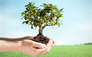 محافظة أسوان تطلق مبادرة لزراعة شجرة لكل طفل