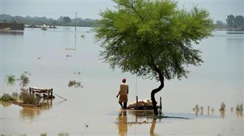 منظمة الصحة العالمية تعلن عدد ضحايا فيضانات باكستان.. 1290 قتيلا و12500 مصاب