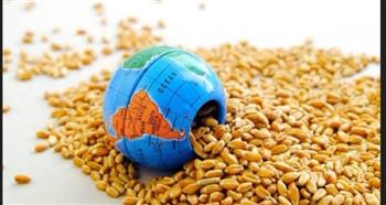 استشاري تنمية يوضح أسباب انخفاض مؤشر أسعار الغذاء العالمية