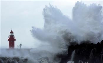 هبط إلى اليابسة في كوريا الجنوبية.. لقطات مروعة لإعصار هينامنور (فيديو)