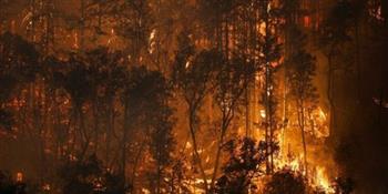 مصرع شخصين وإصابة ثالث إثر حريق غابات في كاليفورنيا