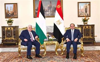 أستاذ علاقات دولية: مصر تسعى بكل قوتها لإيجاد حل شامل للقضية الفلسطينية