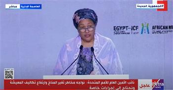 الأمم المتحدة تشيد بإطلاق مصر المنصة الوطنية للمشروعات الخضراء «نُوفّي»