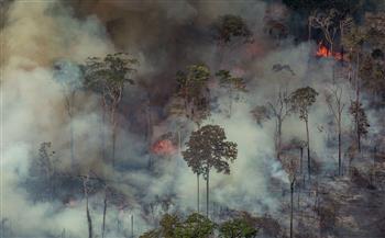 البرازيل تسجل نحو 20 ألف حريق فى غابات الأمازون خلال أسبوع