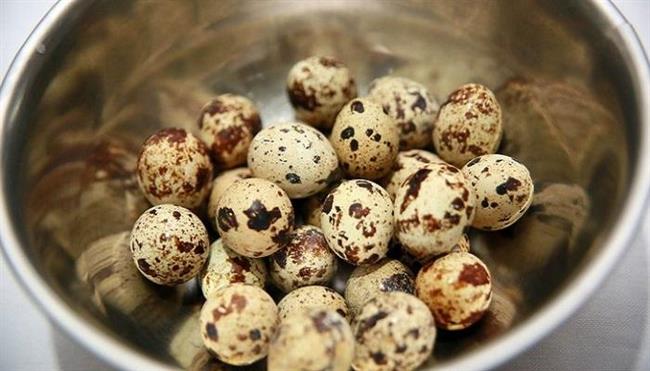 الكرتونة بـ20 جنيها في الأسواق.. اعرف فوائد بيض السمان