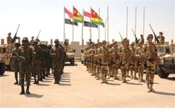 دول الساحل الإفريقي تقرر نقل مقر قواتها المشتركة من مالي إلى النيجر