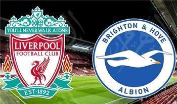 بث مباشر .. مشاهدة مباراة ليفربول وبرايتون يلا شوت اليوم فى الدوري الإنجليزي