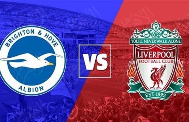مشاهدة مباراة ليفربول وبرايتون بث مباشر في الدوري الإنجليزي اليوم