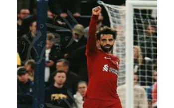  بث مباشر ليفربول وبرايتون تويتر يلا شوت .. كورة اون لاين مشاهدة مباراة ليفربول وبرايتون بث مباشر يلاشوت 