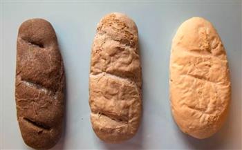 الخبز والمكرونة.. إسبانيا تسمح بصناعة وجبات من دقيق الصراصير والخنافس