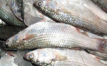 دراسة: أسماك المياه العذبة تسبب أضرارا صحية خطيرة
