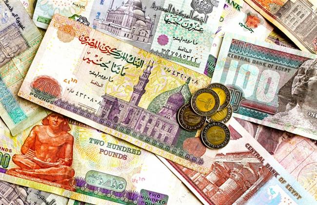 بمرتبات خيالية.. القوى العاملة تعلن عن 3000 وظيفة لهذه التخصصات