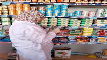 «صحة الوادي الجديد»: استمرار الحملات والمرور على محال بيع المواد الغذائية