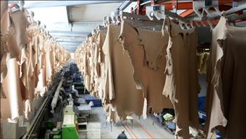 غرفة صناعة الجلود تنظم ندوة لتأهيل شركات الأحذية والمنتجات الجلدية للتصدير