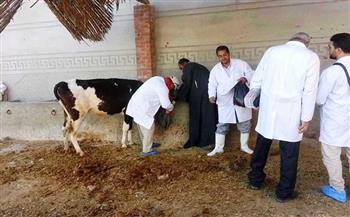 "بيطري الغربية": تحصين 259 ألف رأس ماشية ضد الأمراض الوبائية