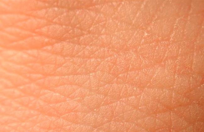 العلماء يصنعون جلد شبيه بالبشري لاختبارات الأدوية