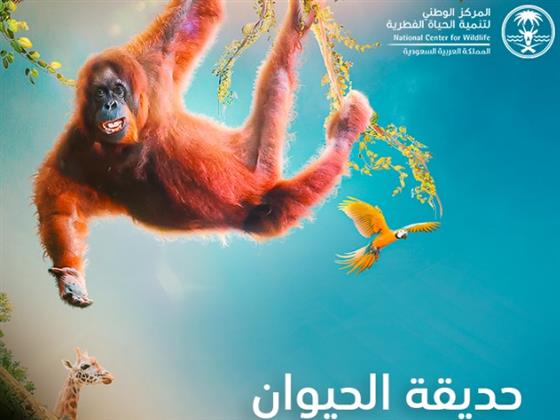 أسعارها في متناول الجميع.. كيفية حجز تذاكر حديقة الحيوان بالرياض 2023