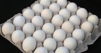 «شعبة المواد الغذائية»: طبق البيض بـ78 جنيها