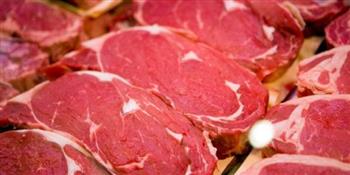 بالأرقام.. «الزراعة» تعلن السعر العادل لكيلو اللحوم والبيضاء وطبق البيض