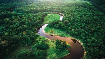 خبير بيئي: غابات الأمازون تمتص 140 مليار طن من ثاني أكسيد الكربون