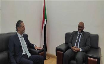 تعزيز التعاون المصري مع السودان في مجالات النقل