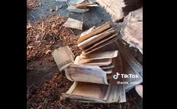 صاحبه كان مليارديرًا.. لبناني يعثر على كنز مخبأ في جذع شجرة (فيديو)