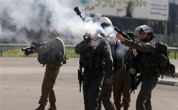 إصابة صياد فلسطيني برصاص الاحتلال.. ومستوطنون يهاجمون قرية في جنين