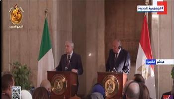 شكري يكشف تفاصيل مباحثات الرئيس السيسي مع وزير الخارجية الإيطالي