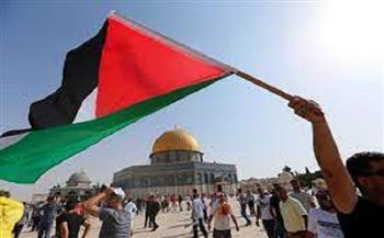 «ربنا ينصر فلسطين وأهلها».. نجوم الفن يتضامون مع الشعب الفلسطيني 