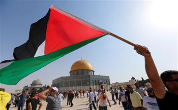 قيادات برلمانية: مصر لن تسمح بتصفية القضية الفلسطينية