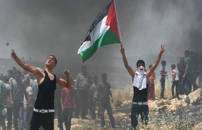 تقديم مساعدات إنسانية وحملات تبرع بالدم.. جهات تدعم الشعب الفلسطيني: أبرزها الجامعات 