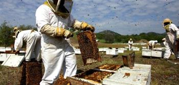 محافظ أسيوط: الدولة مهتمة بصناعة عسل النحل بكافة عناصره