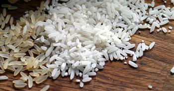 «زراعة دمياط»: حصاد 45 ألفا و757 فدانا من الأرز حتى الآن 