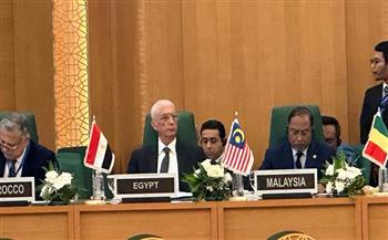 نائب وزير الخارجية يؤكد التزام مصر بواجبها الإنساني تجاه فلسطين