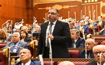 سيد حجازي: الشعب المصري يقف خلف الرئيس السيسى ولن نسمح بتهجير الفلسطينين