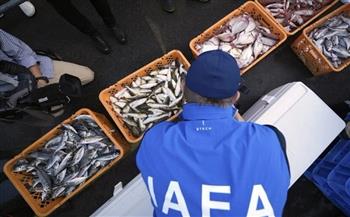 وكالة الطاقة الذرية تجمع عينات أسماك في مقاطعة فوكوشيما اليابانية