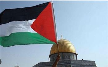 أستاذ علاقات دولية: مصر بذلت جهودًا كبيرة لحل القضية الفلسطينية