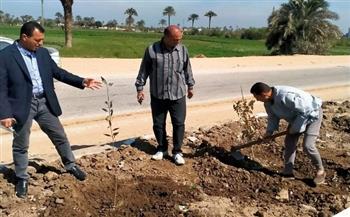 التنمية المحلية تتابع تنفيذ إجراءات «الإسكندرية» للمبادرة الرئاسية لزراعة 100 مليون شجرة