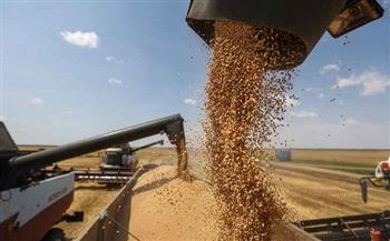 أوكرانيا تعلن حصاد 57.6 مليون طن من الحبوب والبذور الزيتية