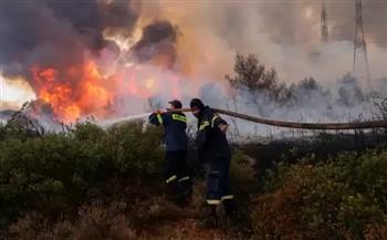 الجزائر: إخماد جميع حرائق الغابات في 9 ولايات